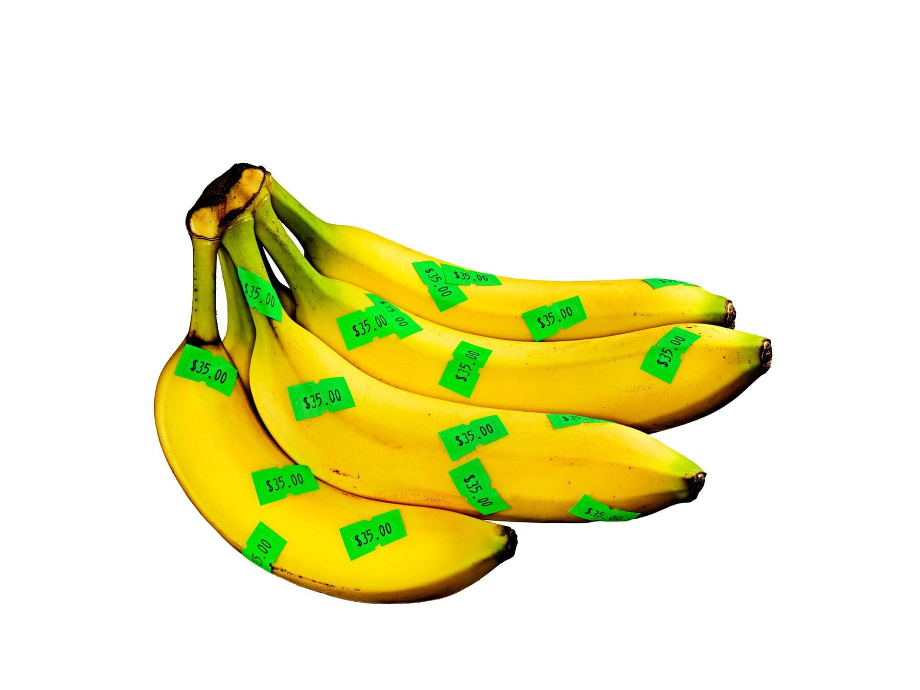 Bananas inflated to the size of a person, shot on a bright studio field